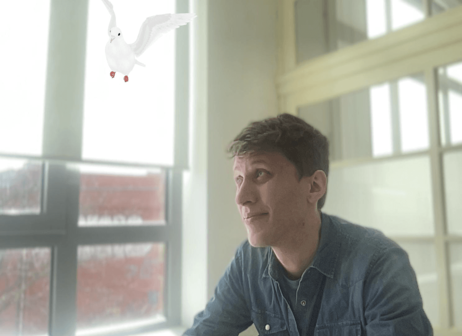 AugementedReality-Taube fliegt über Kopf einer Person